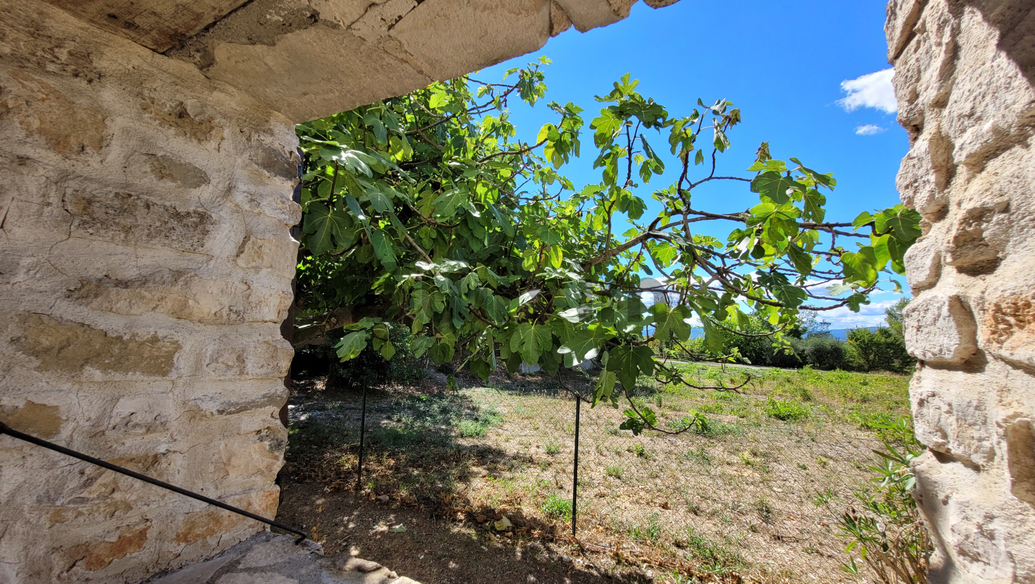 Vente Maison de village avec jardin